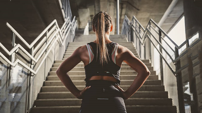 Deeply Committed To The Sports Bra Market