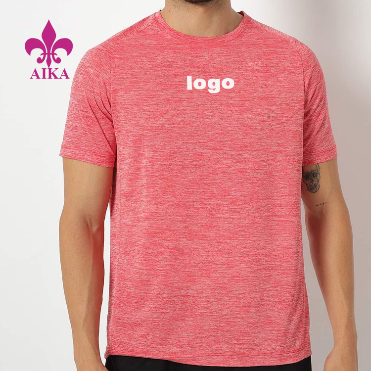 Factory Price Wholesale Custom Quick Dry Blank Raglan Polyester T Shirt For Men Gym Wear