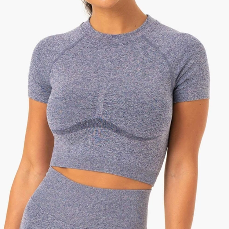 New Style Body Building Seamless Slim Fit Gym Crop Top T-shirt For Women