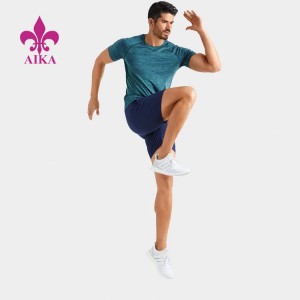 Professional Design Seamless Pants -
  Custom Wholesale Fitness Wear Sports Gym Poleyster T Shirts For Men – AIKA