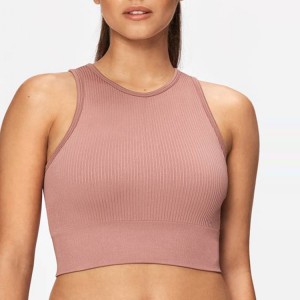 Rapid Delivery for Adult Gym Yoga -
 High Quality Custom Workout Fitness Women Sportswear Seamless Gym Cropped Top Yoga Tank Tops – AIKA