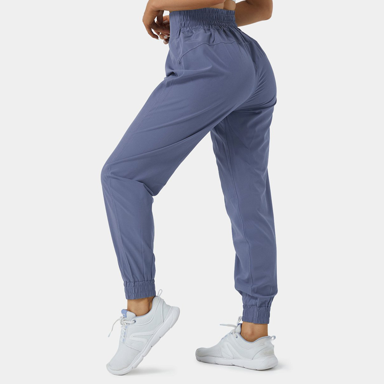 Wholesale Lightweight Elastic Waist Fitness Sports Nylon Jogger Track Pants For Women detail pictures