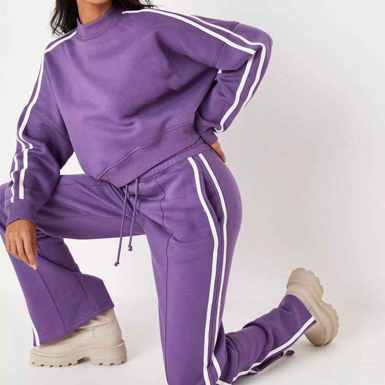 Fashion Trendy French Terry Cotton High Neck Sweatsuit Women Plain Sports Track Suit Sets detail pictures